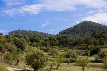Mallorca, oeste, Puigpunyent, Villas