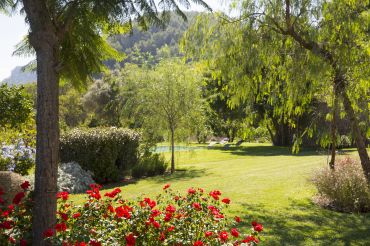 Mallorca, oeste, Puigpunyent, Villas